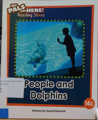 Image of People and Dolphins